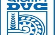 DVC Recruitment 2023 – Opening for 17 Management Trainees Posts | Apply Online