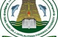 TNJFU Recruitment 2023 – Opening for Various Manager Posts | Apply Email