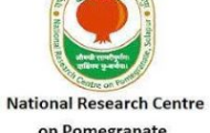 ICAR-NRCP Recruitment 2023 – Opening for Various Young Professional Posts | Walk-In-Interview