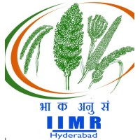 Indian Institute of Millets Research - IIMR Recruitment 2023 - Last Date 10 June at Govt Exam Update