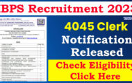 IBPS Recruitment 2023 – Opening for 4045 CRP Clerk XIII Posts | Apply Online