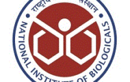 NIB Recruitment 2023 – Opening for 65 Bench Biologist Posts | Apply Email