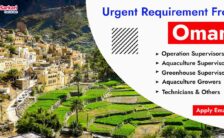 Oman Recruitment 2023 – Openings for Various Supervisor, Executive Posts | Apply Email