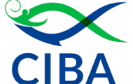 CIBA Recruitment 2023 – Opening for Various Young Professional I Posts | Apply Email