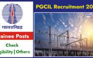 PGCIL Recruitment 2023 – Opening for 41 Trainee Posts | Apply Online